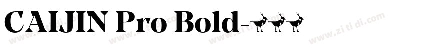CAIJIN Pro Bold字体转换